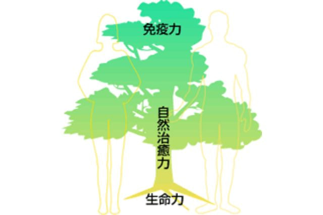 がんの自然療法